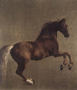 Whistlejacket